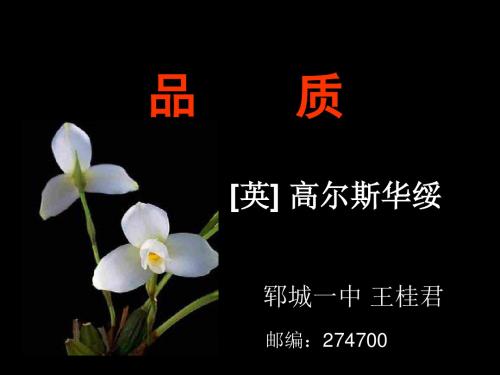 语文底层的光芒《品质》课件(苏教版必修3).