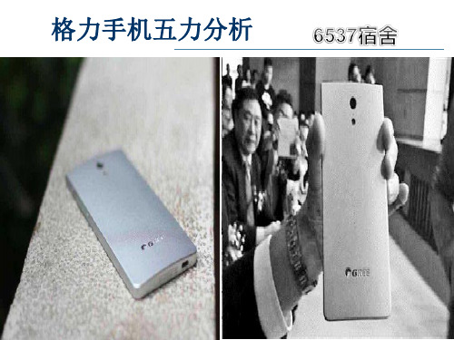 格力五力模型分析