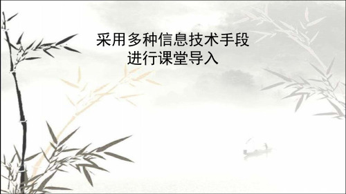 采用多种信息技术手段进行课堂导入的案例分析 PPT