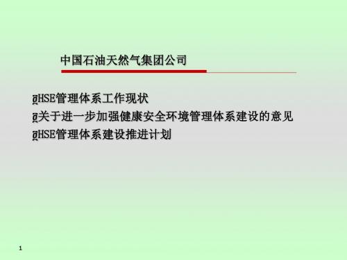 集团公司HSE管理体系政策-精选文档