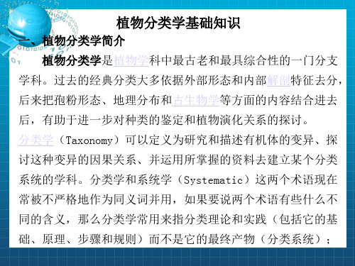 被子植物分类系统简介
