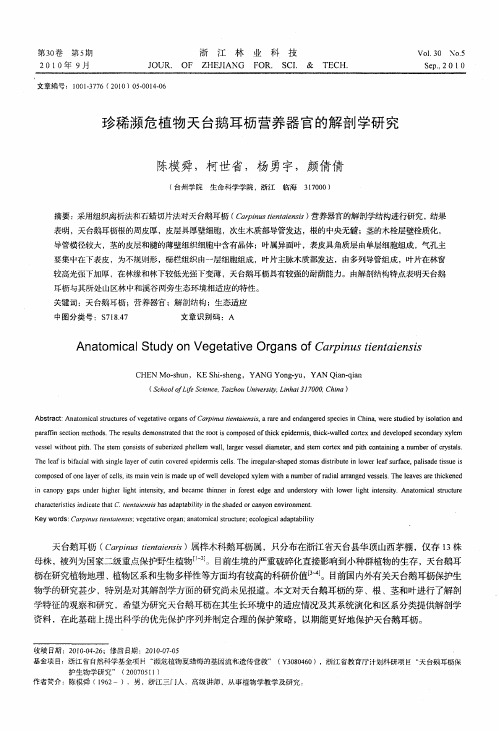 珍稀濒危植物天台鹅耳枥营养器官的解剖学研究