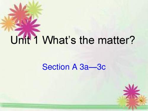 人教英语八年级下册Unit1Section A 3a—3c (共14张PPT)