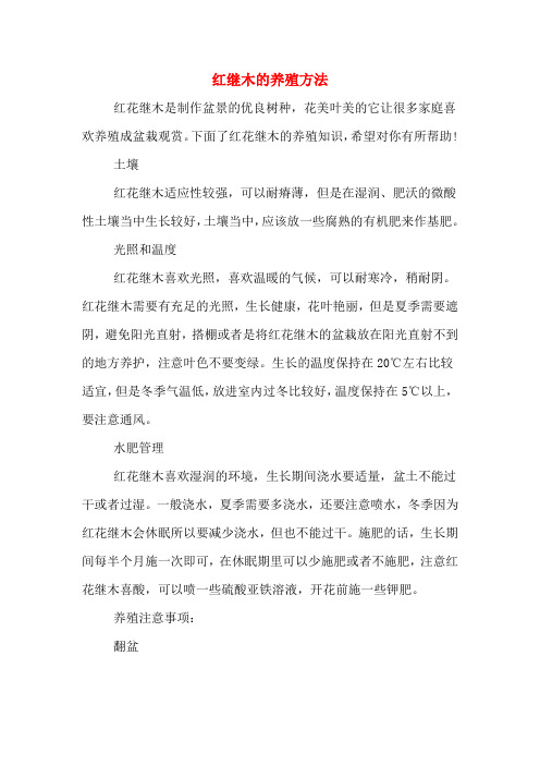 红继木的养殖方法