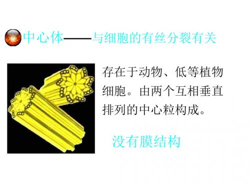 湖南省长沙市长郡中学2016年高三生物复习课件《生物膜系统和细胞核》 (共82张ppt)