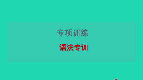 七上专项训练语法习题新版牛津版