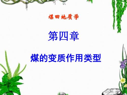 04第四章 煤的变质作用类型.