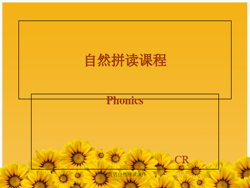 英语自然拼读课件