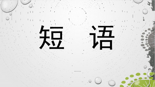 人教部编版七年级下册汉语知识《短语结构类型课件(25页)