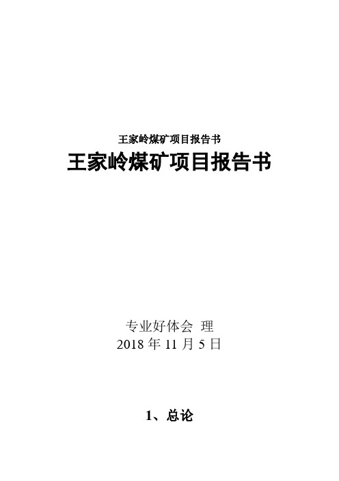 王家岭煤矿项目报告书