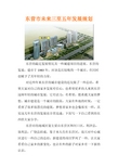 东营市未来三至五年发展规划