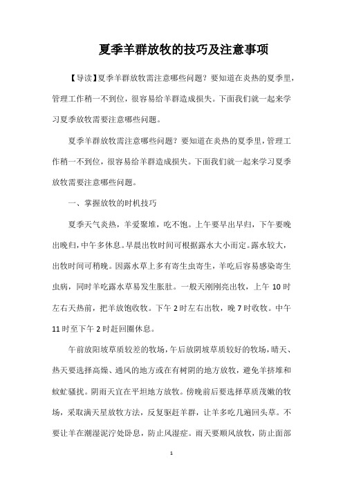 夏季羊群放牧的技巧及注意事项