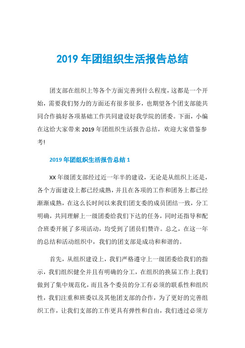 2019年团组织生活报告总结