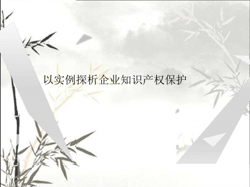 以实例探析企业知识产权保护ppt课件