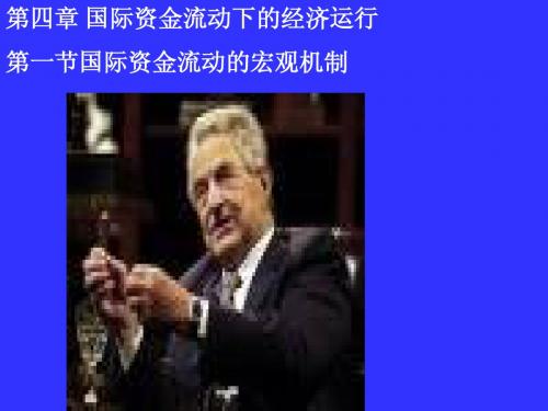 2010国金6国际资金流动下的经济运行