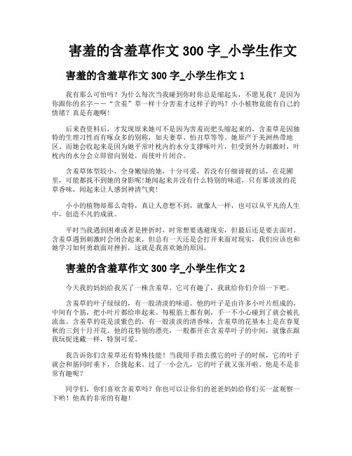 害羞的含羞草作文300字小学生作文