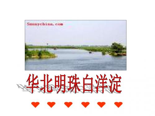 二年级语文华北明珠白洋淀