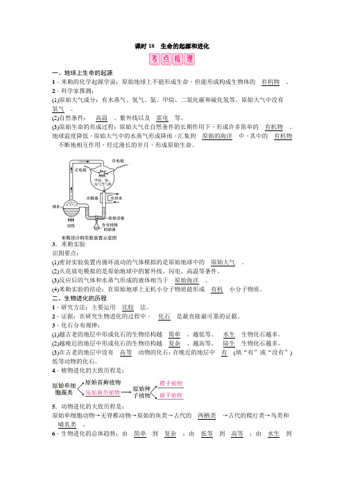 课时18 生命的起源和进化(考点梳理)