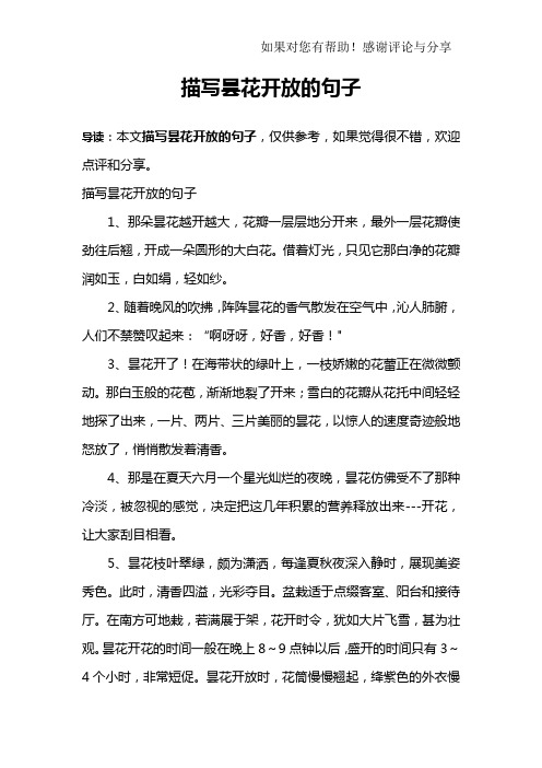 描写昙花开放的句子