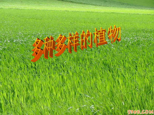 (精选)六年级科学上册4.3多种多样的植物 PPT精品课件3教科版