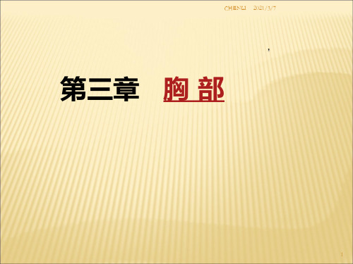 断层解剖胸部PPT课件
