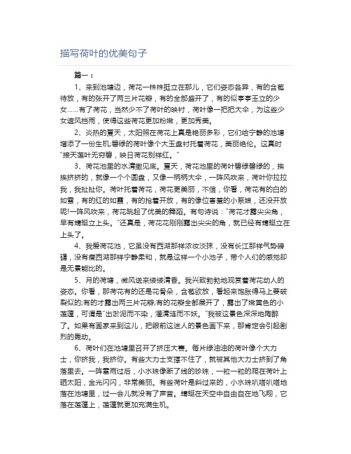 描写荷叶的优美句子