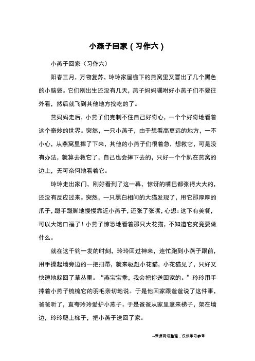 小燕子回家(习作六)_小学五六年级想象