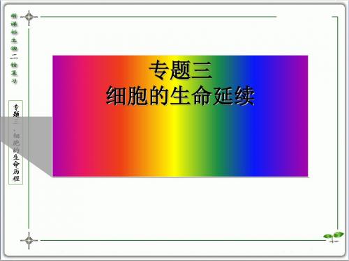 生命的延续 PPT课件 人教版