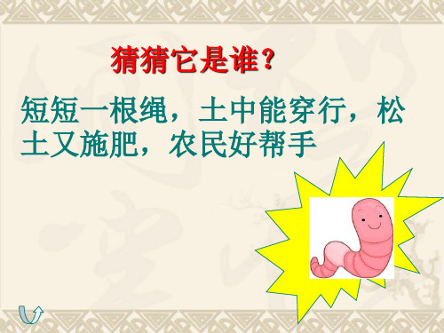 小学科学大象3年级上册《1. 探访蚯蚓的家 》课件