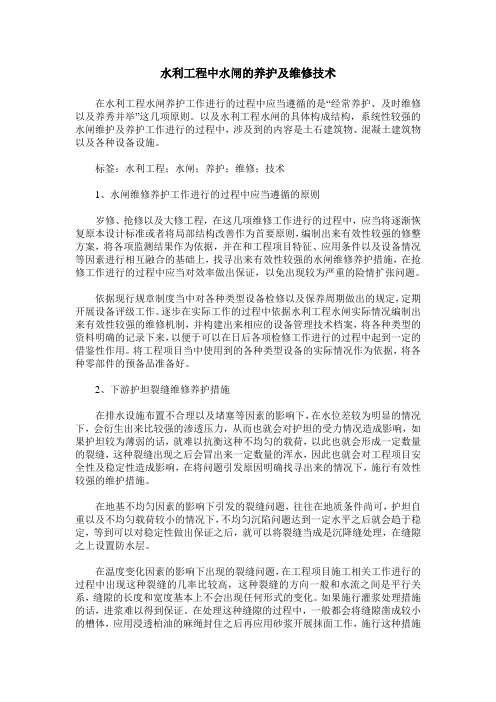 水利工程中水闸的养护及维修技术