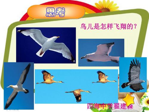 人教版八年级物理下册在流体中运动.pptx