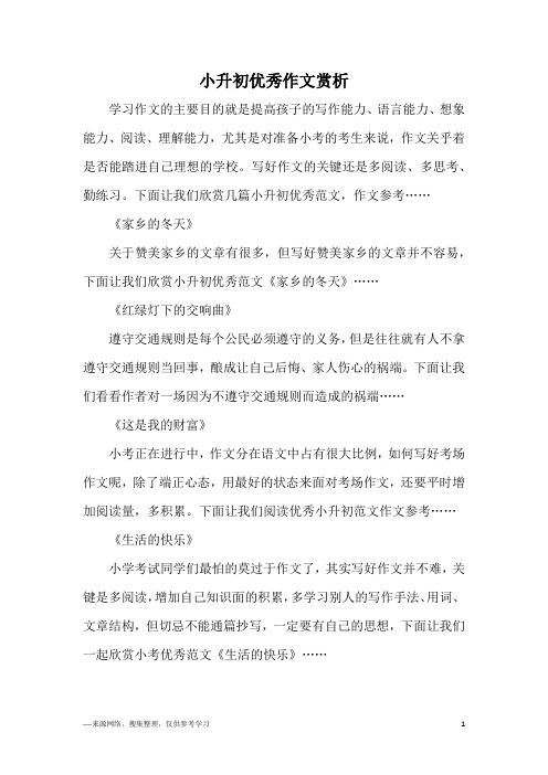 小升初优秀作文赏析