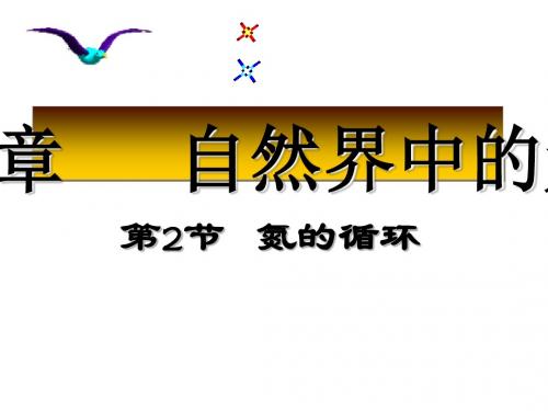 氨与铵态氮肥教案+学案+课件+随堂练习(4份打包) 鲁科版