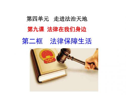 法律保障生活.(正式)ppt.ppt20170607