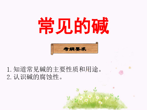 人教版九年级化学第十单元《常见的碱》复习课件(22张PPT)