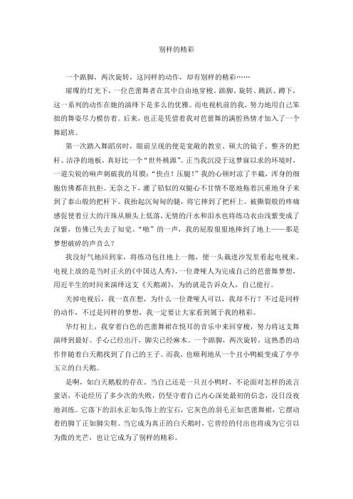 初中作文——话题《别样的精彩》 (4)