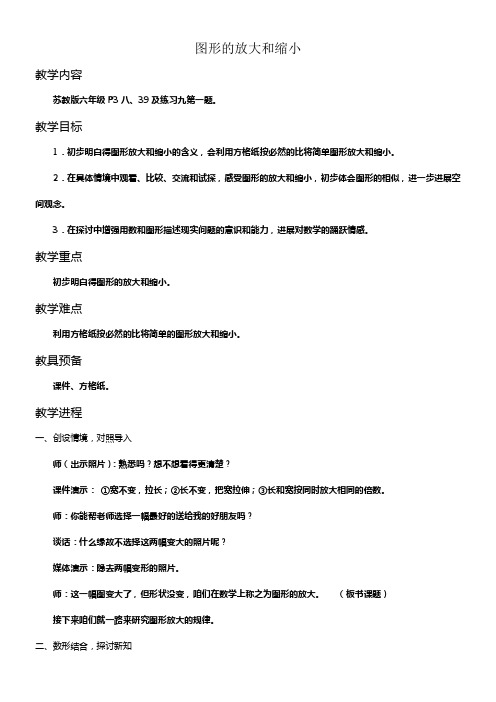 苏教版六年级下册图形的放大和缩小word教案之二