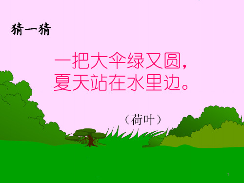 一年级下语文课件14 荷叶伞｜冀教版 (共17张PPT)