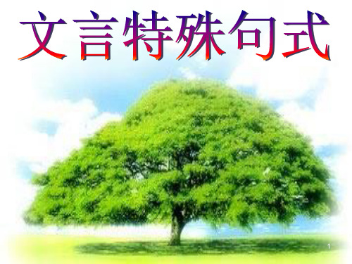文言特殊句式ppt课件