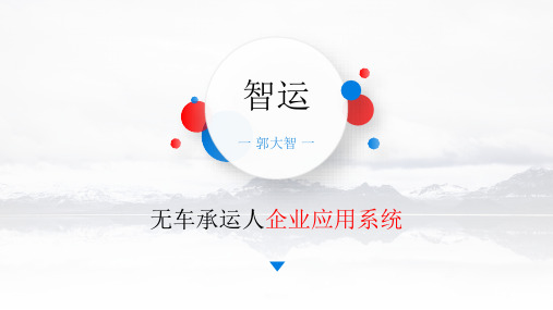 无车承运人企业应用系统PPT课件