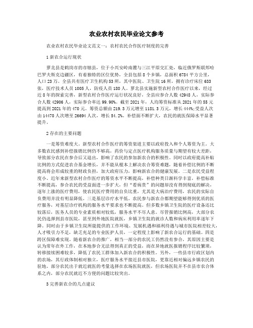 农业农村农民毕业论文参考
