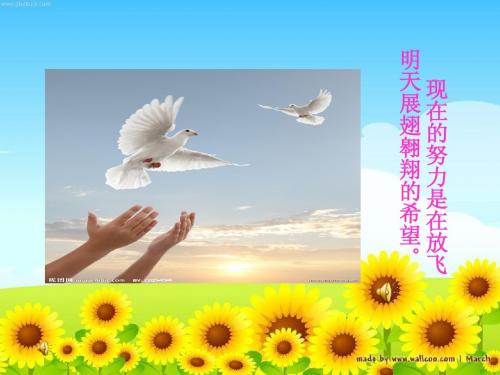 成反比例的量.ppt