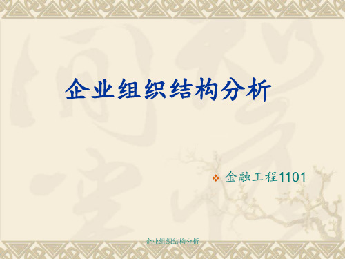 企业组织结构分析 ppt课件