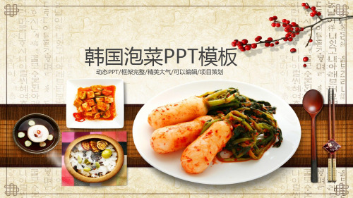 韩国泡菜PPT