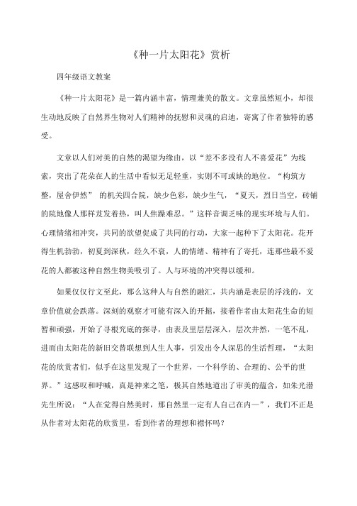 小学四年级语文 《种一片太阳花》赏析