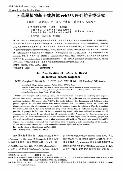 芭蕉属植物基于线粒体ccb256序列的分类研究