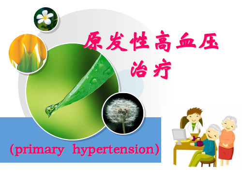 原发性高血压治疗(1).pptx