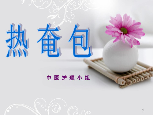 热奄包精品PPT课件