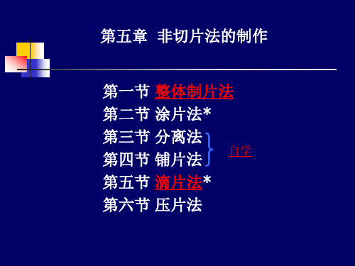 第五章  非切片法的制作