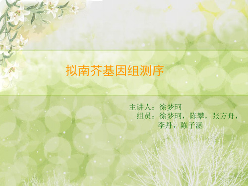 拟南芥基因组测序